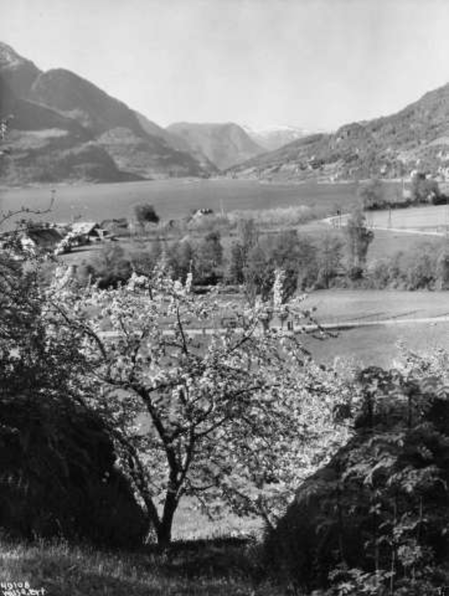 Anders Beer Wilse, -7216
