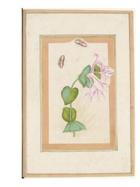 Unknown, Painting