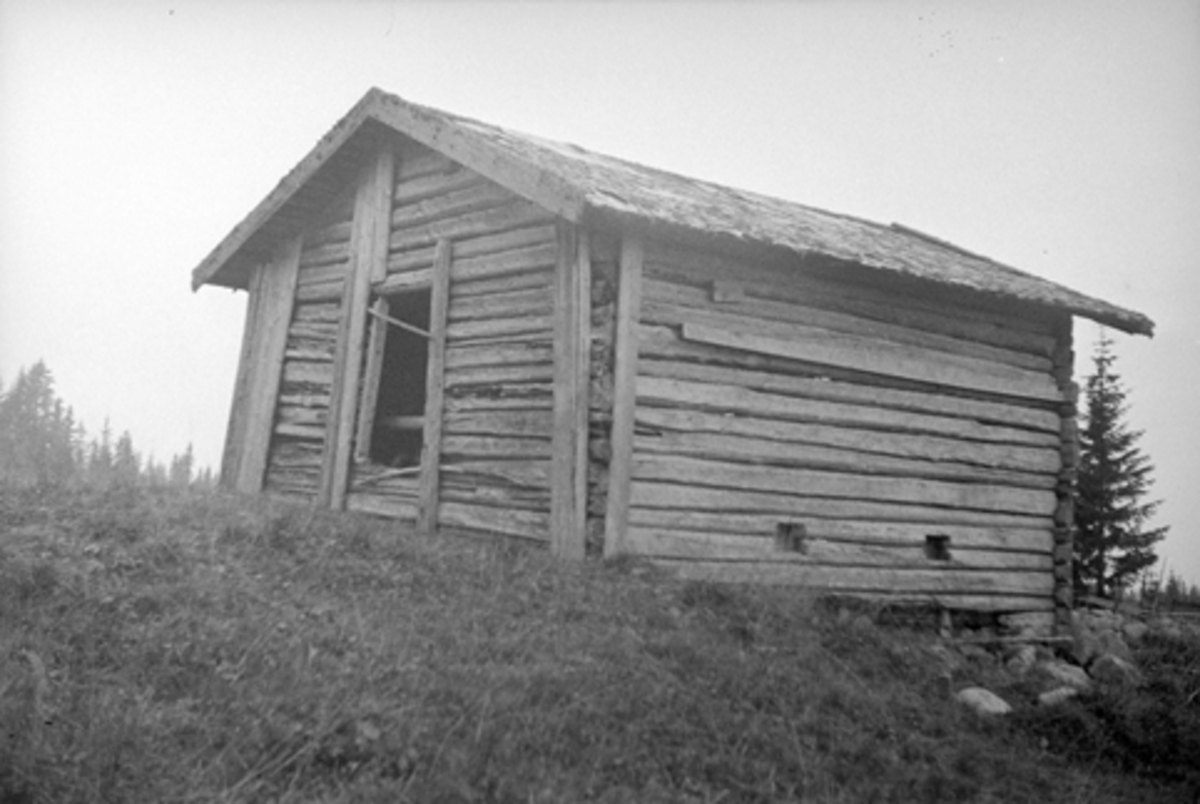Toralv Bleken-Nilssen, TRONSHATTEN, SETER, Romedal alm. Stange. GEITEFJØS. TIDL. 606