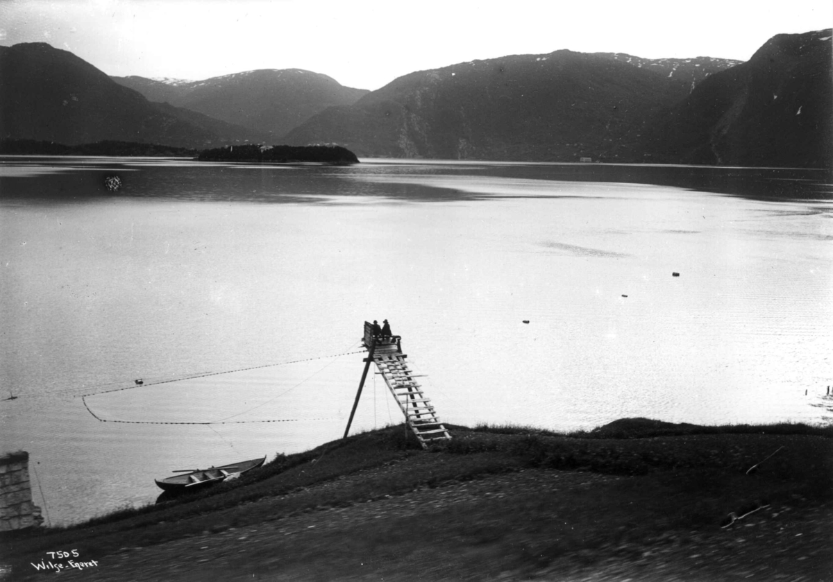 Anders Beer Wilse, Laksevarp med lakse-gildre. Antakelig fra Ulvnesøy i Sørfjorden i Hordaland. Øya hadde et skolehjem fram til 1981.