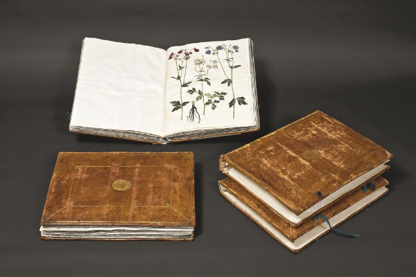 Hans Simon Holtzbecker, Gottorfer Codex, bd. 3