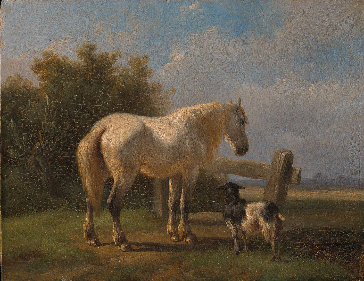 Wouterus Verschuur, Paard in de weide
