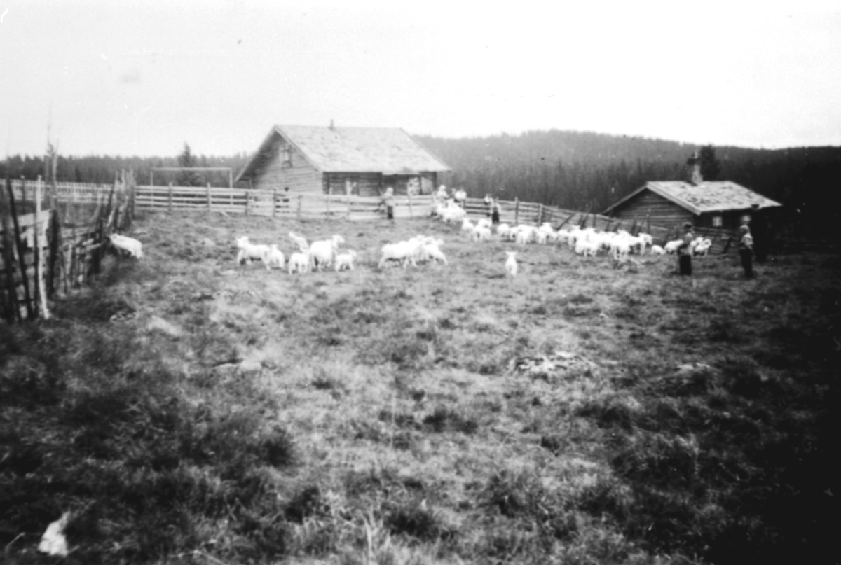 Anno Domkirkeodden, EKSTERIØR: LØVLISETER, LØVLISÆTRA, SAUSLEPP, ROMEDAL, LØVLISETEREN