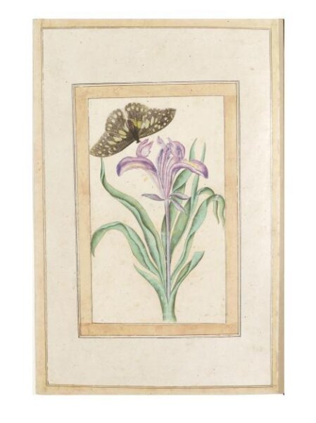Unknown, Painting