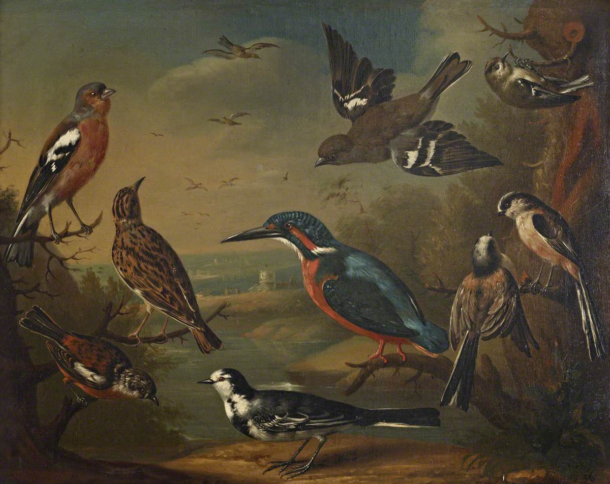 Charles Collins, British Birds (Pair of Chaffinches, Goldcrest; Woodlark; Kingfisher; Long Tailed Tits; Stonechat and a Wagtail)