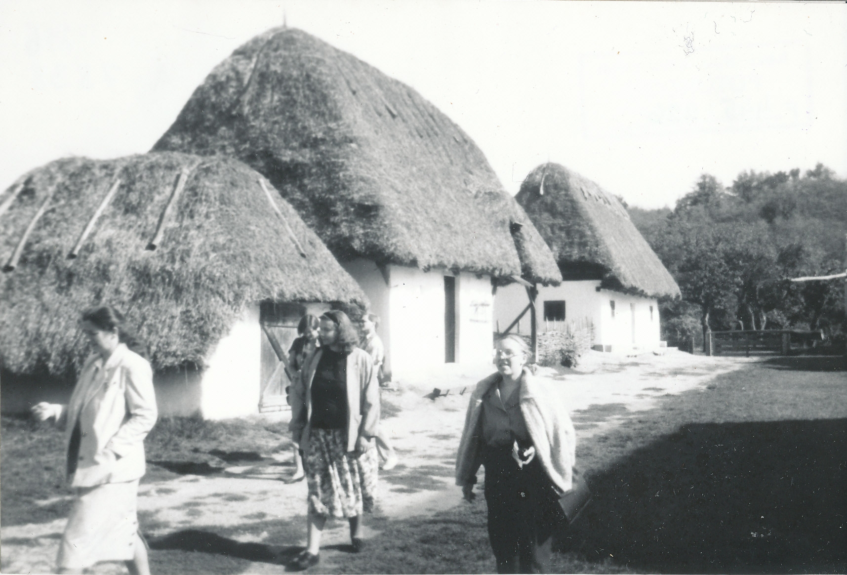 Enn (autor) Mainla, Ungari Vabaõhumuuseum