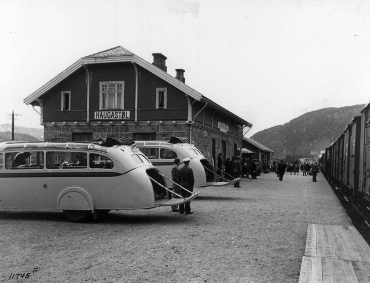 Anders Beer Wilse, Haugastøl Stasjon, Samferdsel, Jernbane, Buss