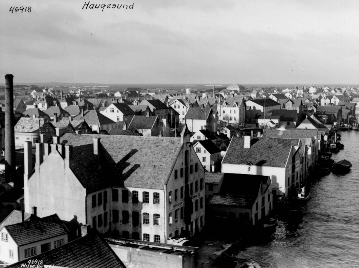 Anders Beer Wilse, Wilse original, fiske.