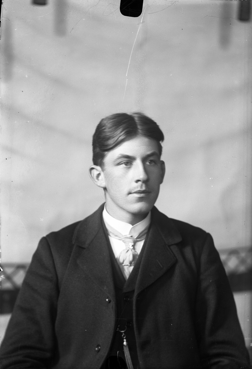 Oscar Holte, Portrett av mann