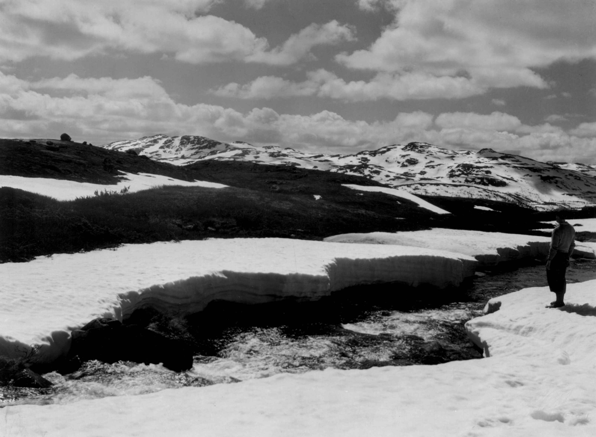 Anders Beer Wilse, Fjellvidde med elv ved Gaustatoppen. Snøsmelting