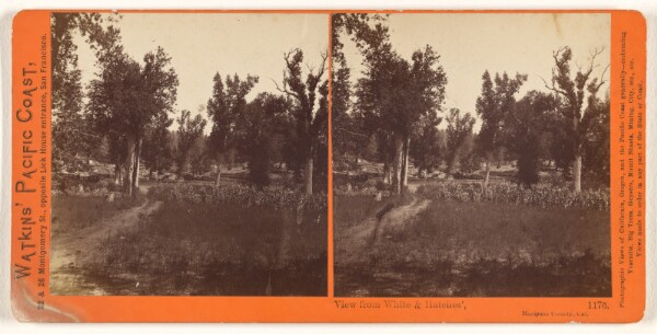 Carleton Watkins, View from White & Hatches', Mariposa County, Cal.