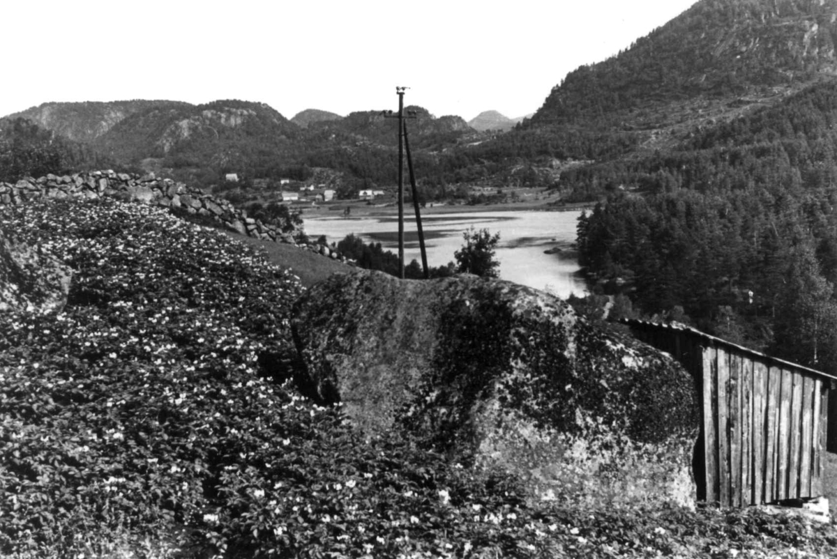 Anna Grostøl, Utsikt fra kjøkkenddøra hos postmannen Ola Haddeland opppover mot Nøkland. Eiken 1941.