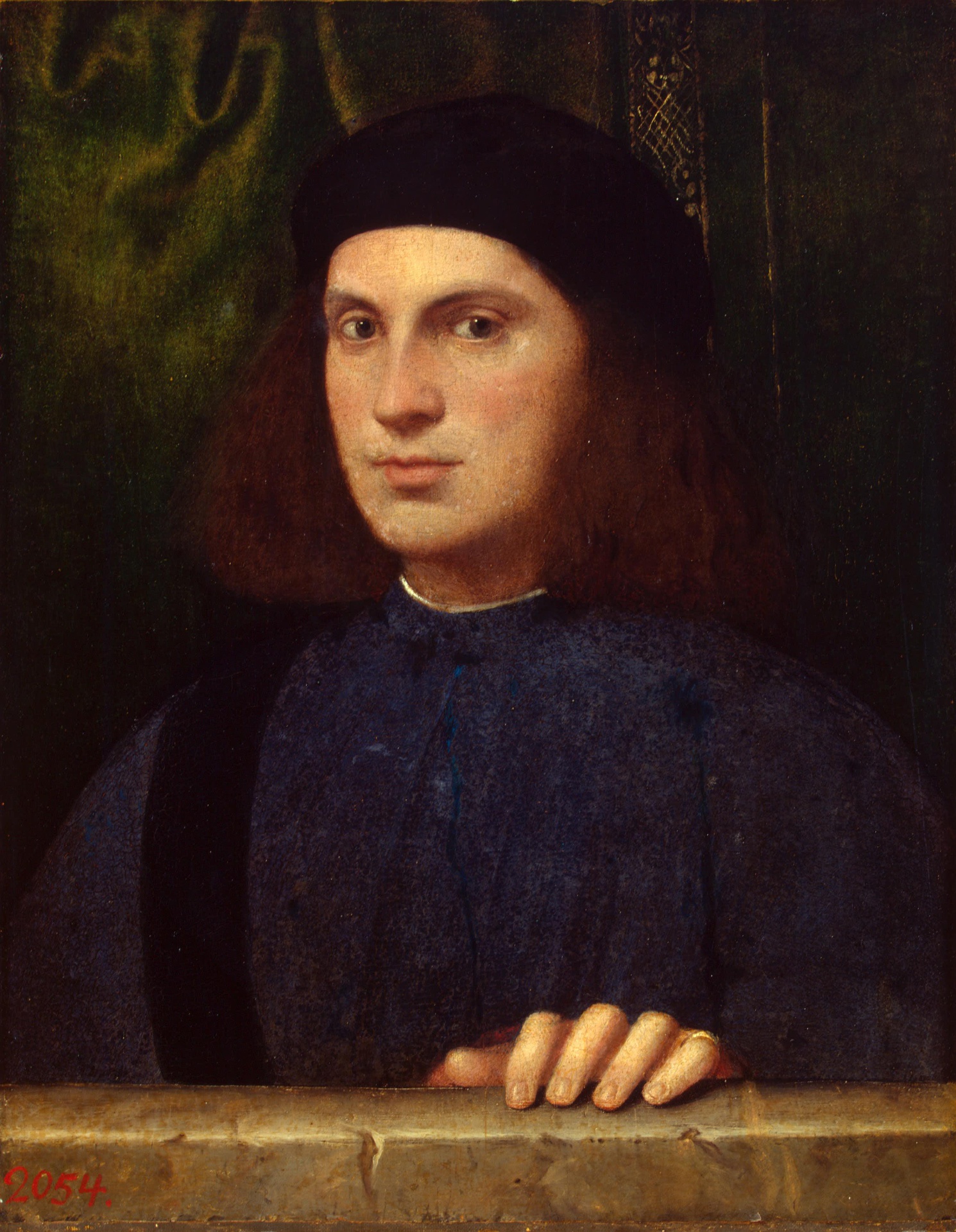 Bonifazio Veronese, Portrait of a Young Man