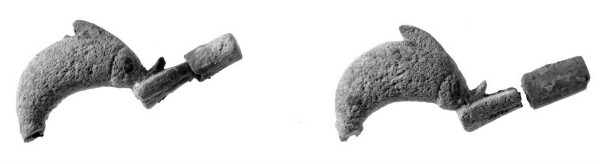 Unknown, Dolphin