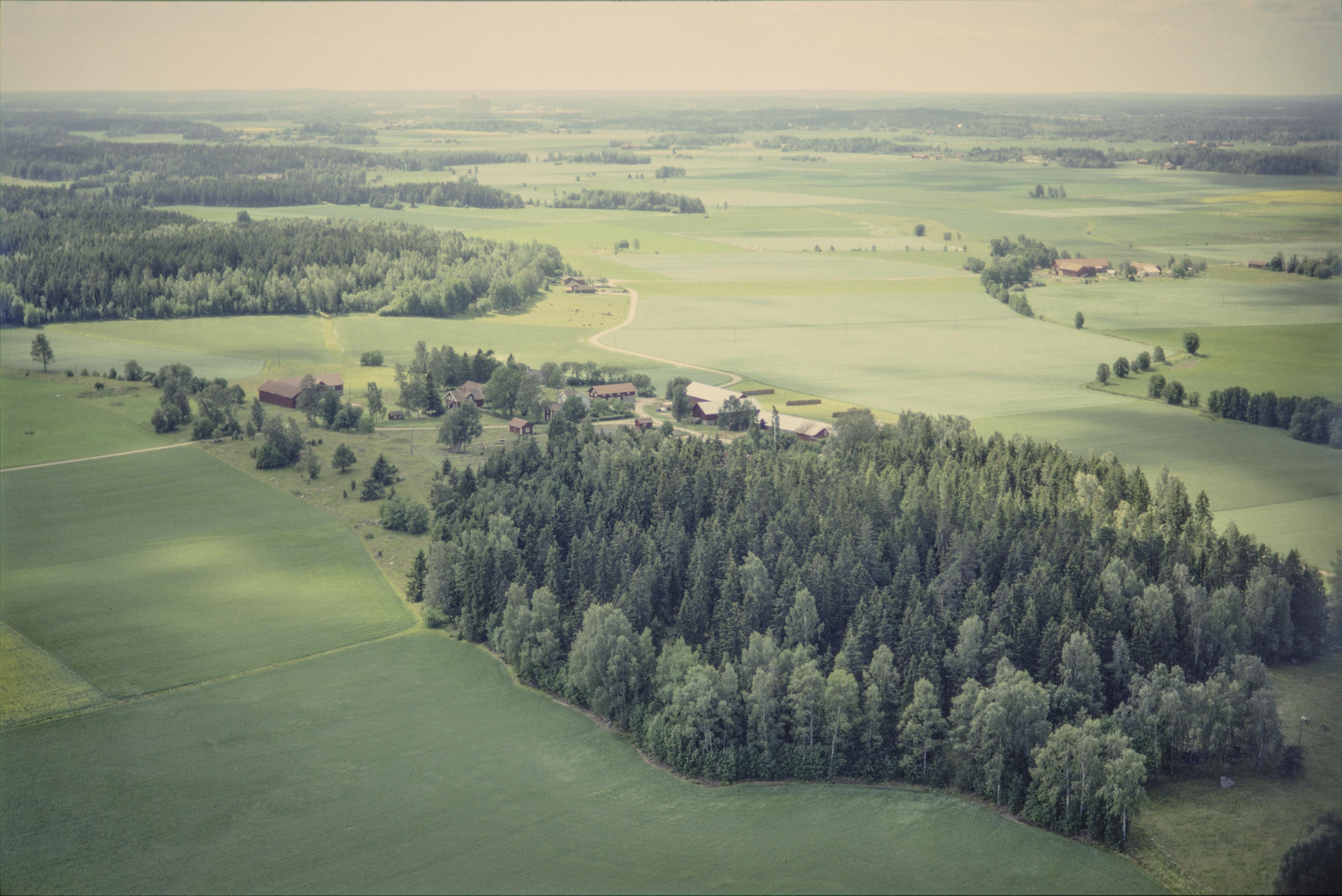 Jan Norrman, Munktorp 132:1