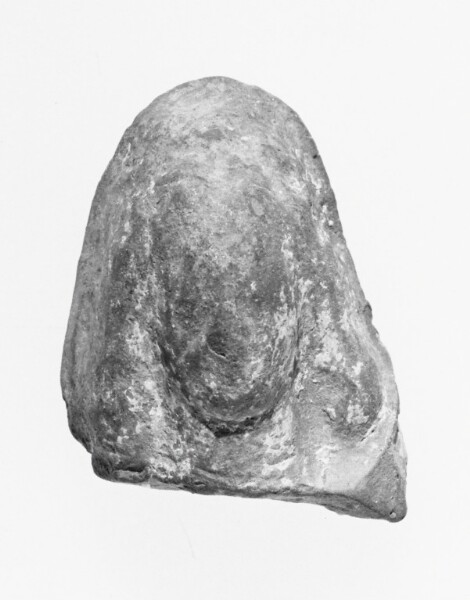 Unknown, Female Head