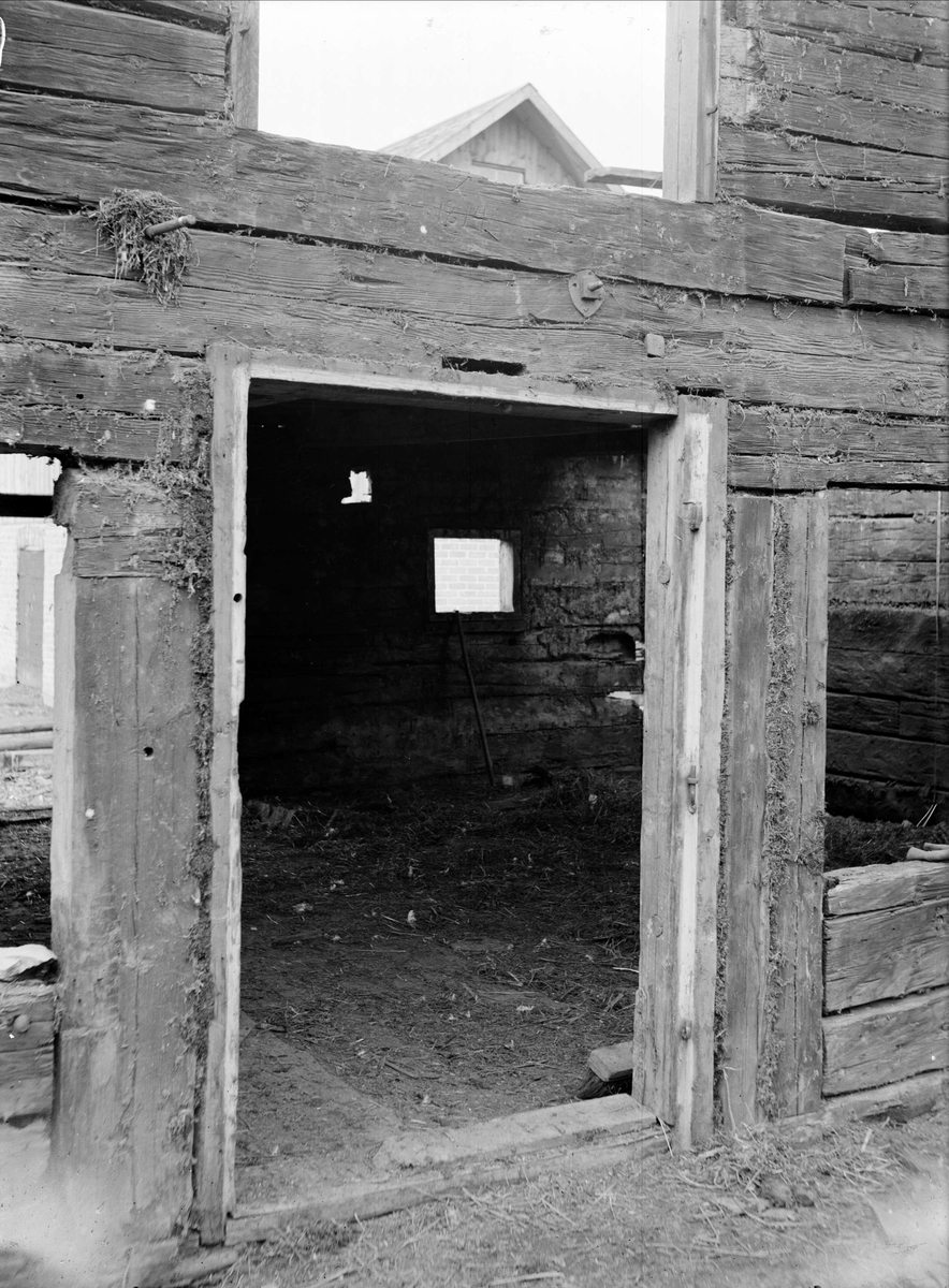 Paul Sandberg, Door opening to the stable - now at the open-air museum Disagården - during dismantling in Gränby, Björklinge parish, Uppland
