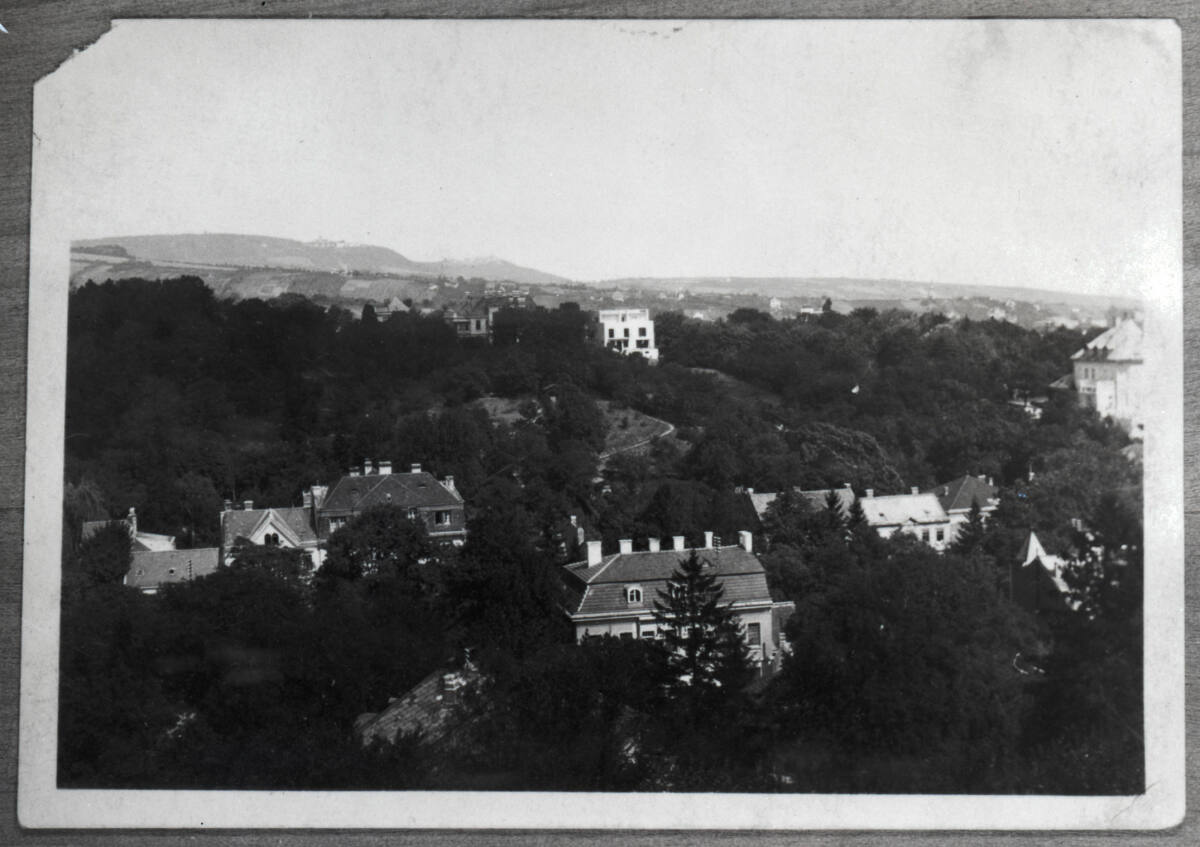 Anonym, Haus Hans und Anny Moller, Wien XVIII., Starkfriedgasse 19, Gartenseite von der Ferne