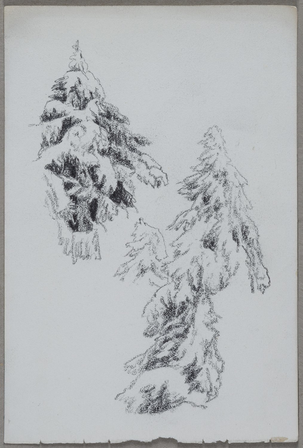 Ernst Morgenstern, Unidentifizierter Ort: Fichten im Schnee (Skizzenbuch Ernst Morgenstern, Beilage)