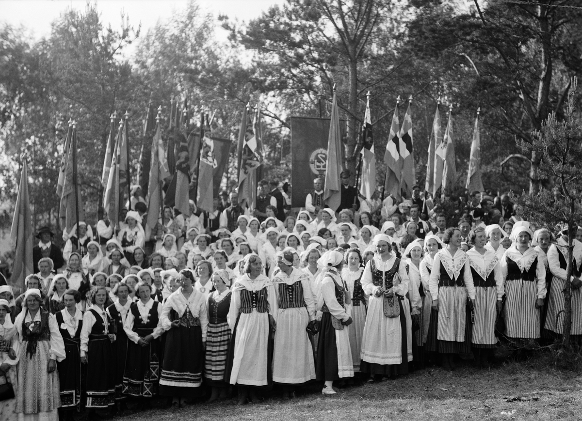 Paul Sandberg, “Nationally-dressed young people in party trains” at the Swedish Rural Youth Federation’s National Council in Old Uppsala