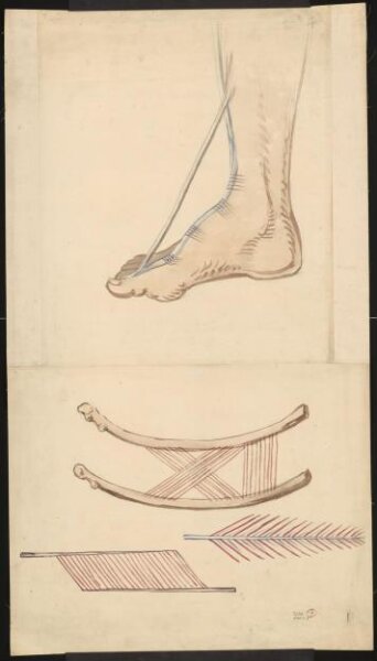 Unknown, Drawing