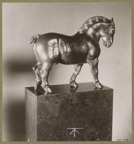 unknown, Photograph