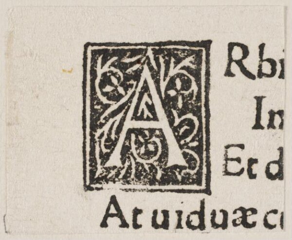 Unknown, Print