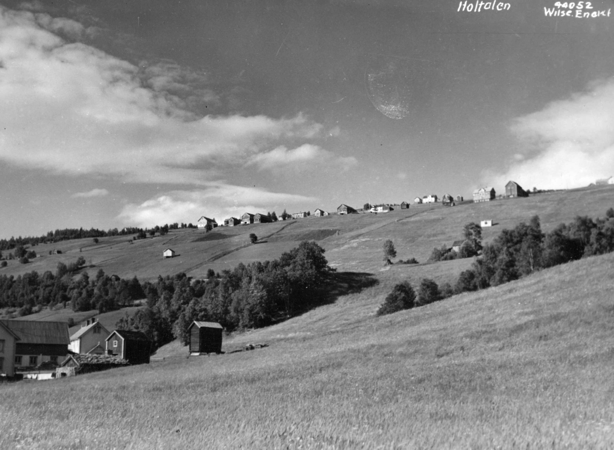 Anders Beer Wilse, Topografi