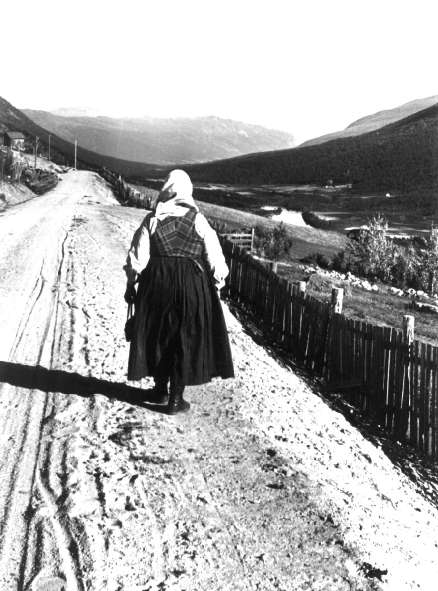Anna Grostøl, Bråtådal, Skjåk, Oppland 1941. Fru Guro Ørjasæter spaserer på veien fra Slette gård og utover dalen.