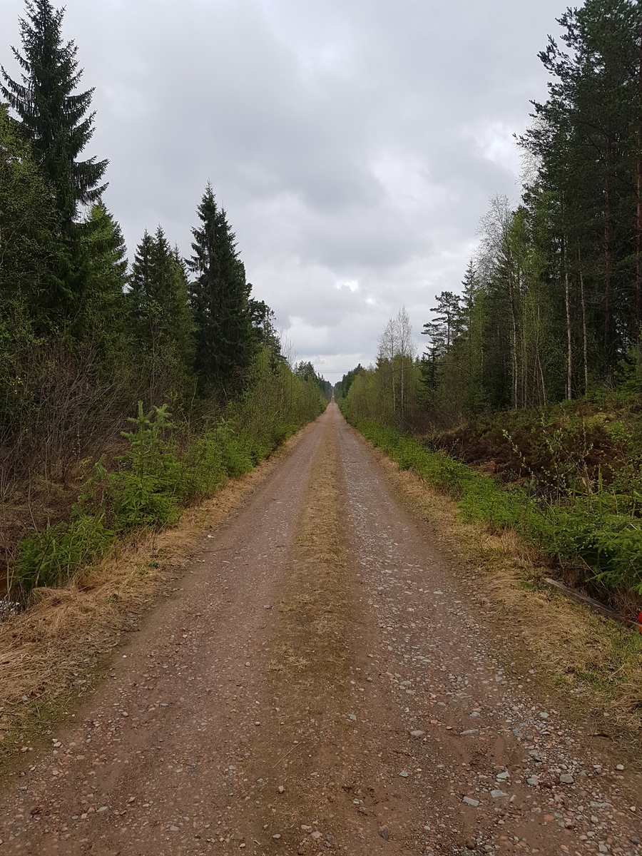 Jennie Tiderman-Österberg, Buföringsvägen till Arvselens fäbod, Malung, 2018.
