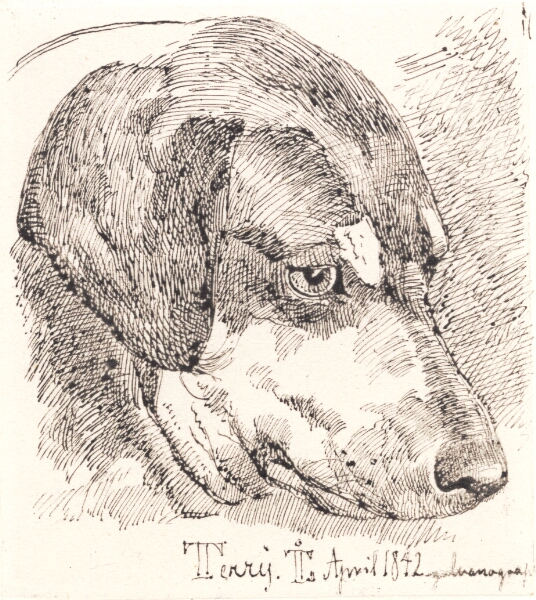 Johan Thomas Lundbye, Hundehoved, Terry