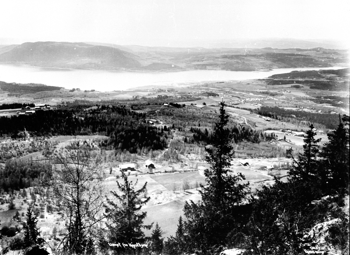 Anno Domkirkeodden, Utsikt over Brumunddal sentrum, sett fra Høsbjør, Furnes, Ringsaker, 1915.