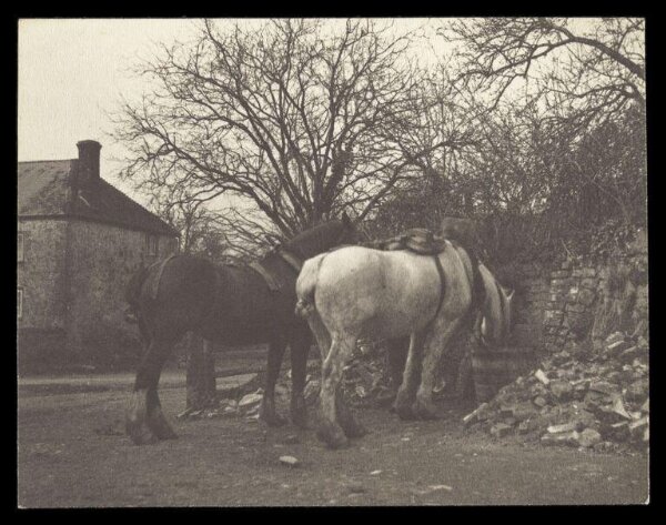 Gale, Lt. Col. Joseph, Farm Life