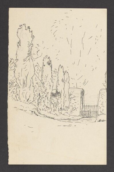 Potter, Beatrix, drawing
