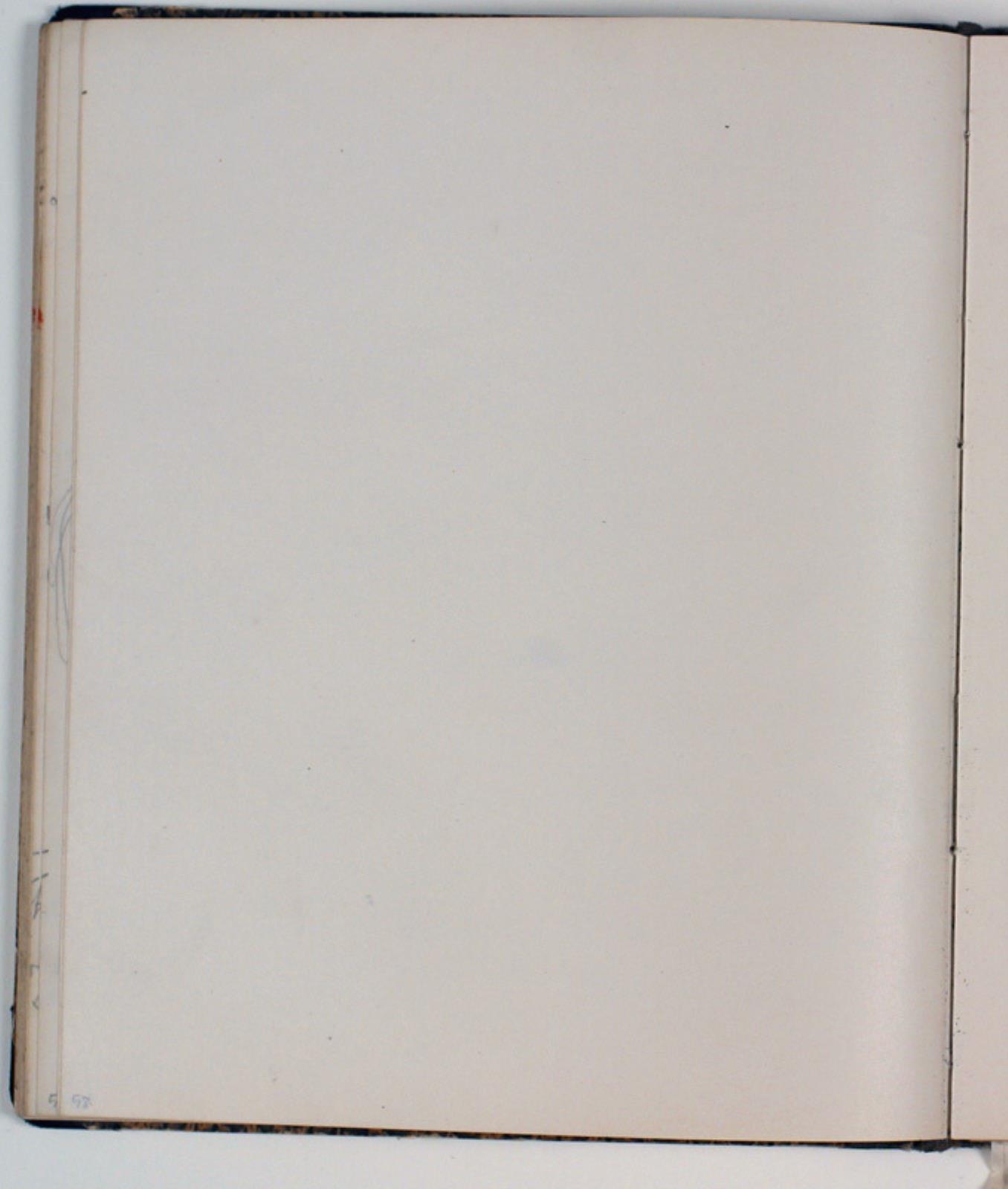 Niels Larsen Stevns, Blank