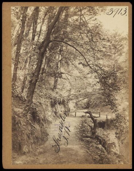 Francis Frith, Photograph