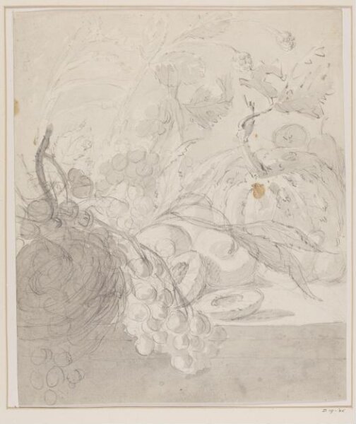 Unknown, Sketch of a Fruit and Floral Still-life