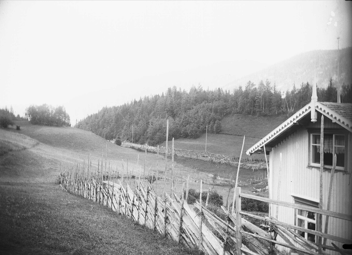 Axel Quinsgaard Wiborg, Hvåle, Nore, Numedal, Nore og Uvdal, Buskerud, 1906. Hvitt hus med skigard.