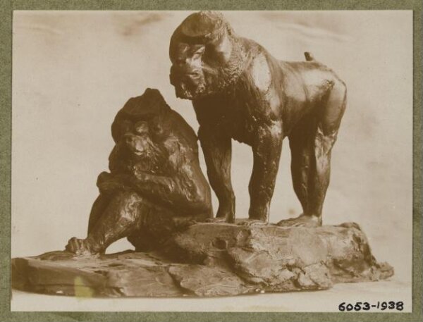 unknown, Photograph