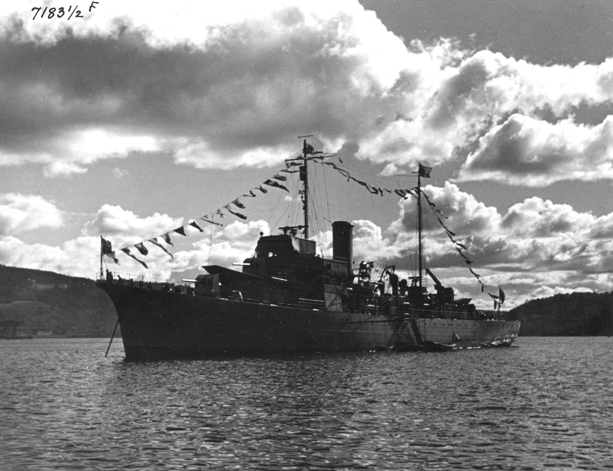 Anders Beer Wilse, Marinen