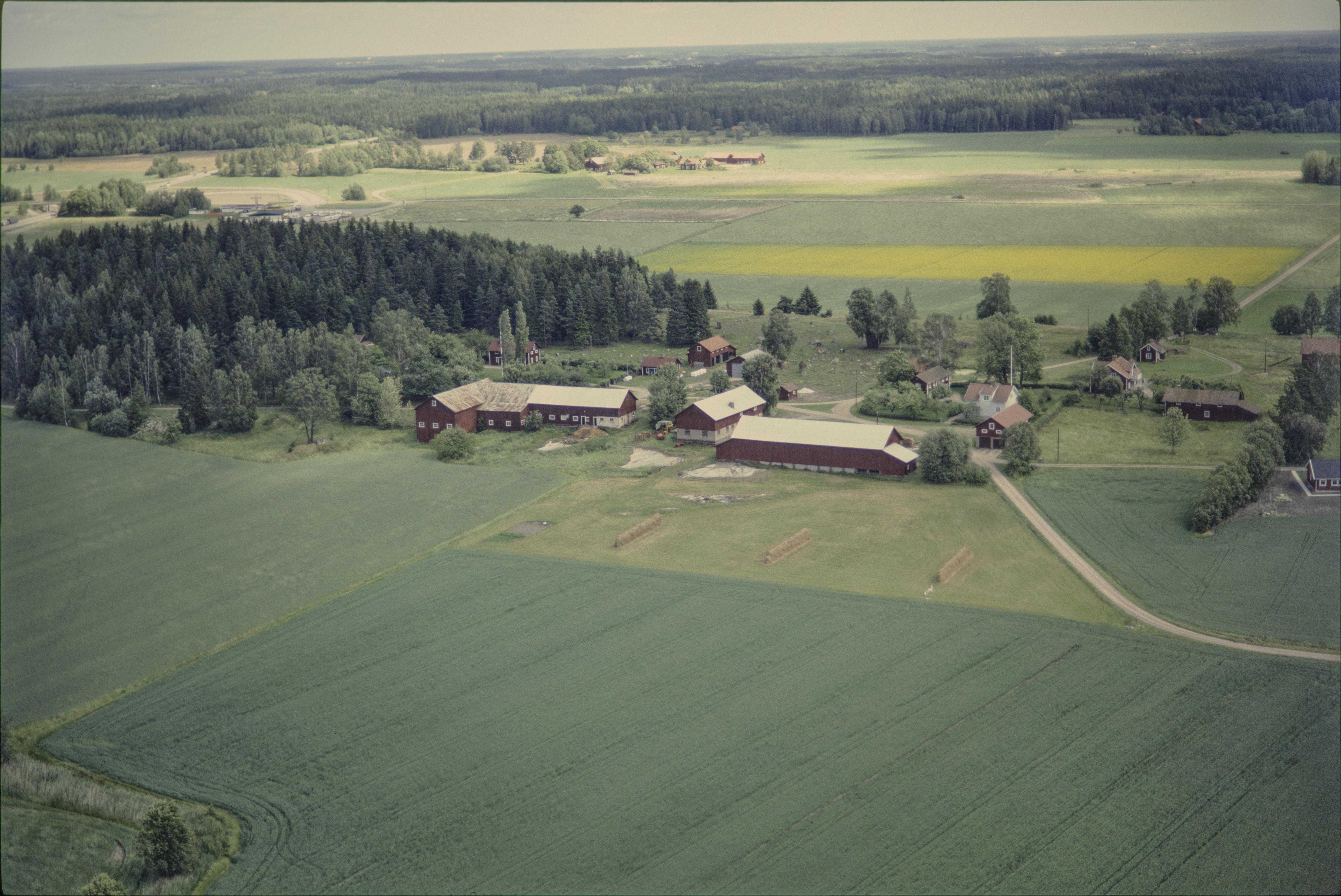 Jan Norrman, Munktorp 132:1