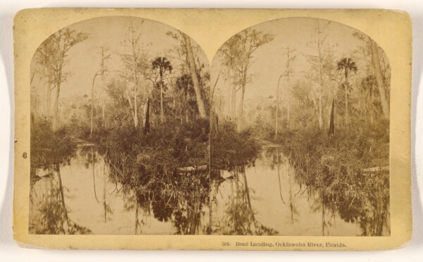 Benjamin West Kilburn, Boat Landing, Ocklawaha River, Florida.