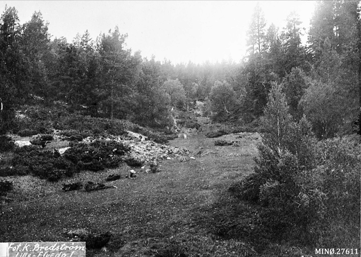 Alexander Bredstrøm Ansberg, Naturbilde