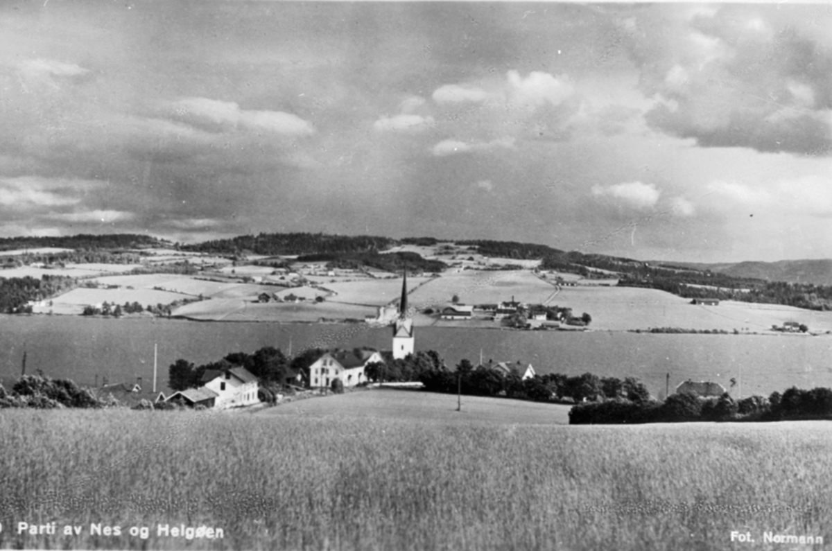 Anno Domkirkeodden, Utsikt over Tingnes med Nes kirke og Helgøya i bakgrunnen.