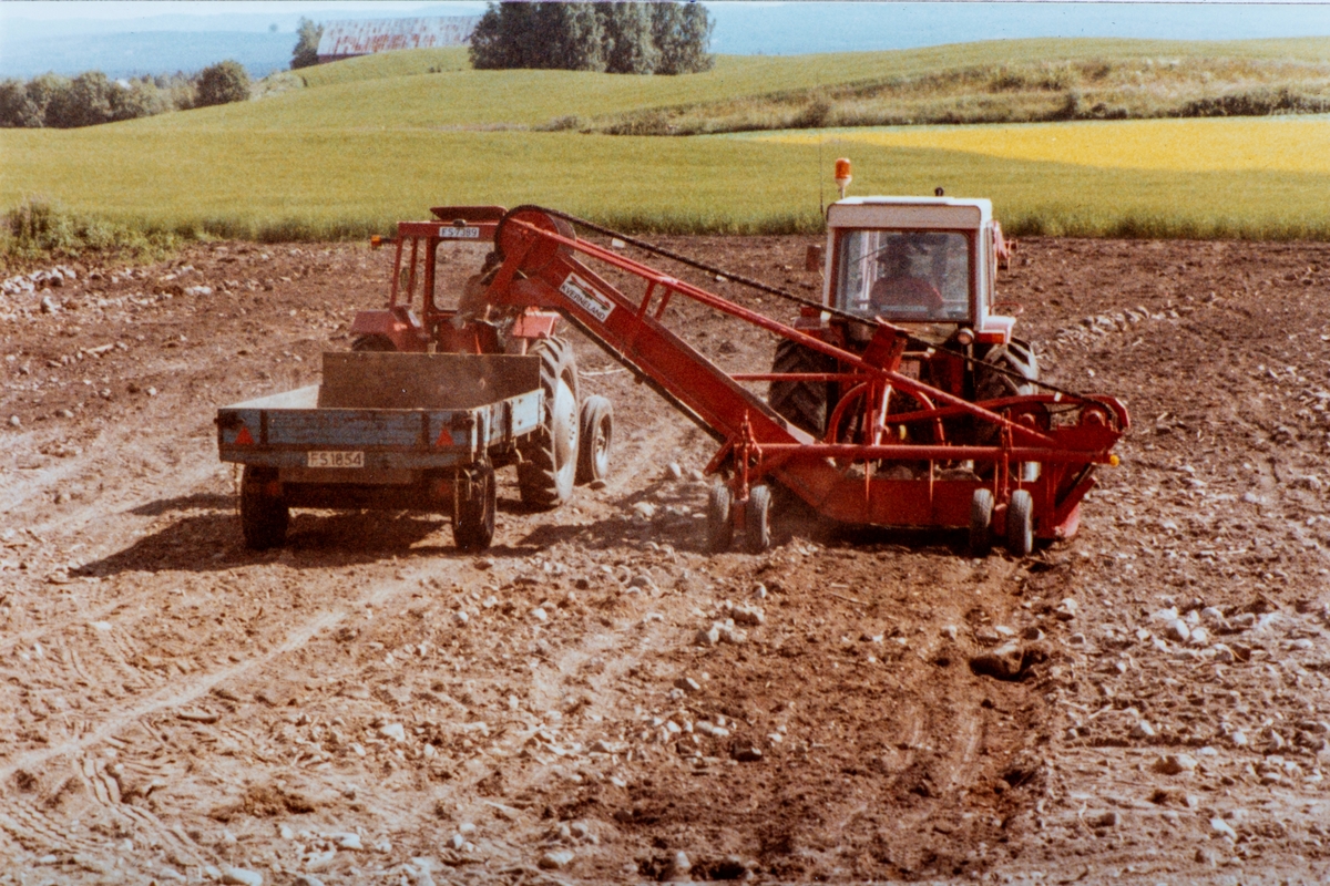 Anno Domkirkeodden, NYRYDDING, NYDYRKING, RUNE LIEN, MAGNAR STORBÆK KJØRERSTEINSORTERINGSMASKIN, TRAKTOR M/HENGER, TRÆTTEBERG, LØTEN