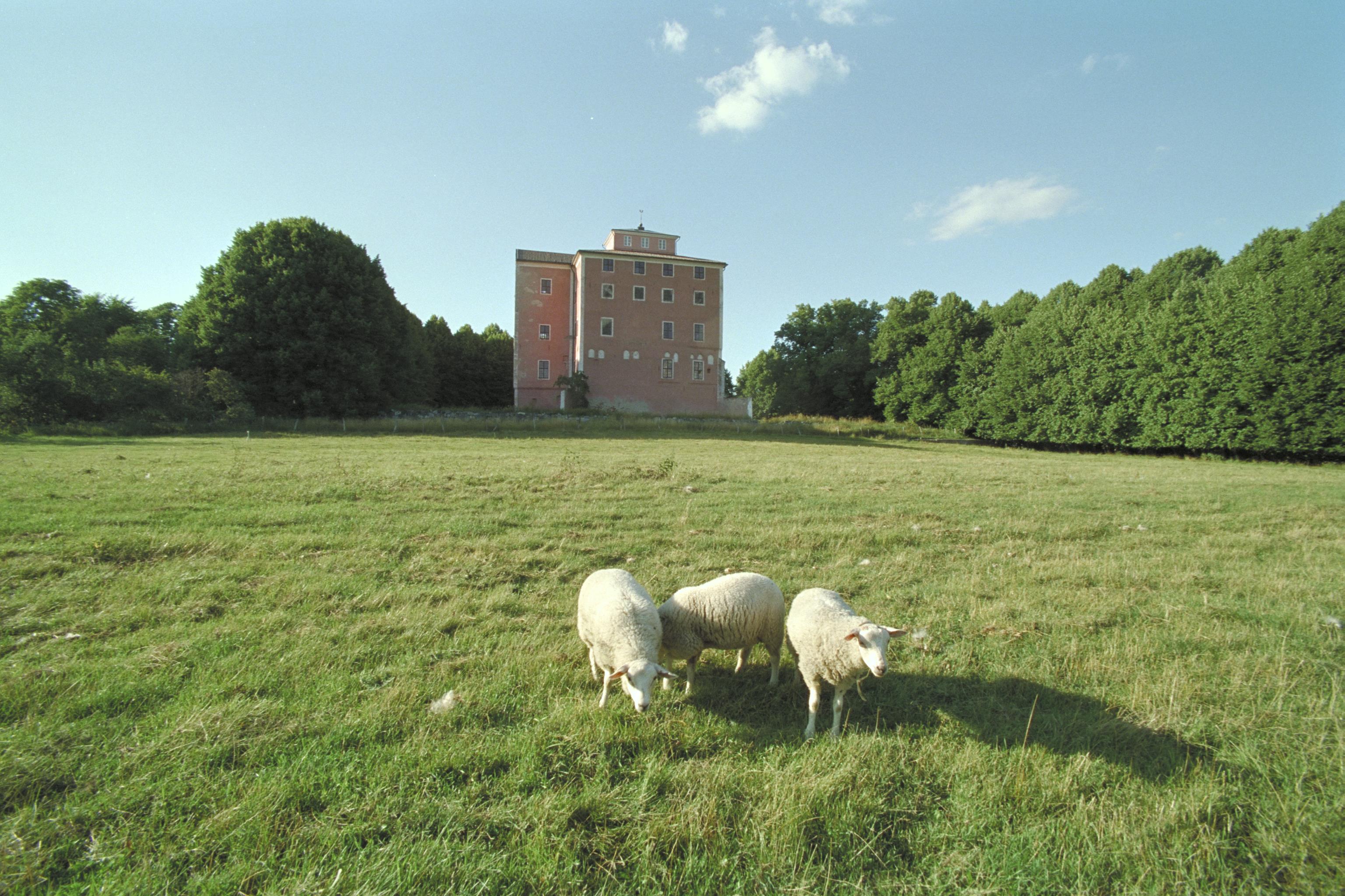Bengt A Lundberg, Tynnelsö slott