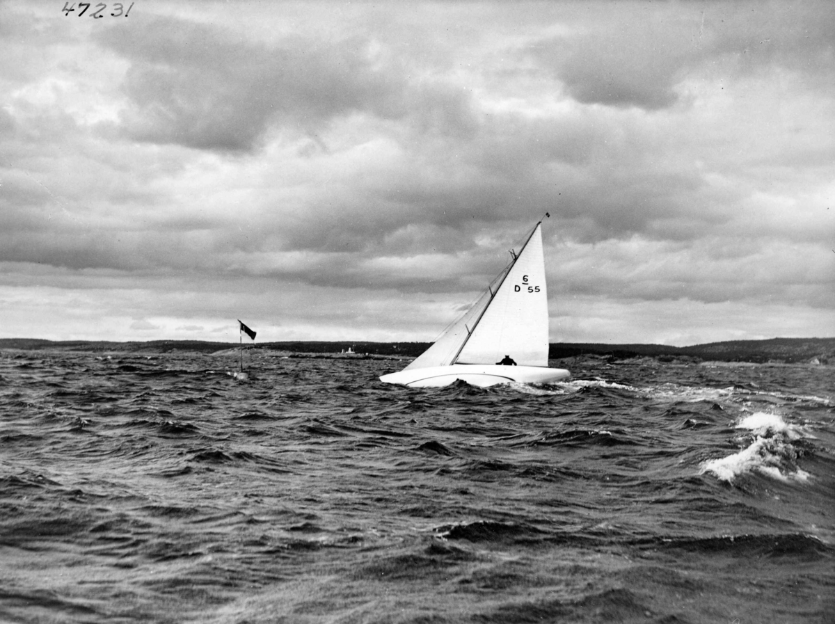 Anders Beer Wilse, Seilsport