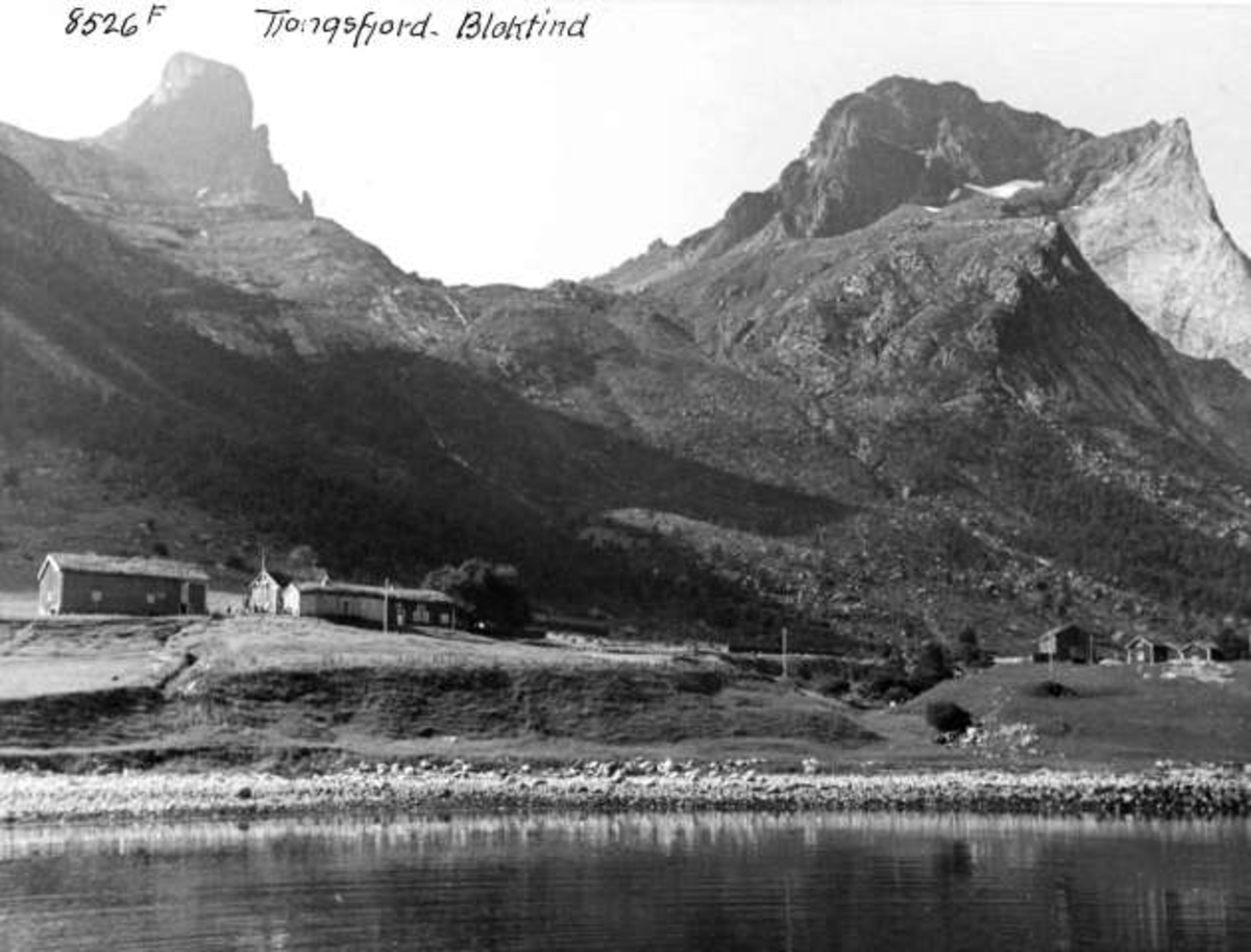 Anders Beer Wilse, -5853