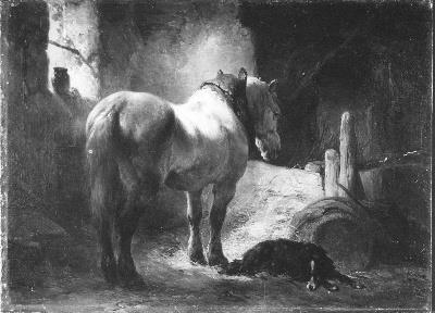 Wouterus Verschuur, Schimmel