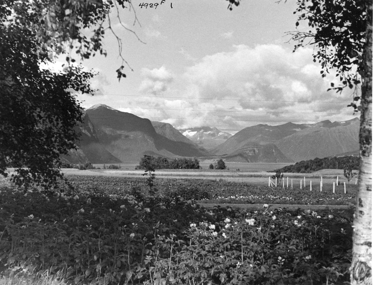 Anders Beer Wilse, Topografi